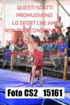 CS2_15161-