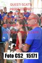 CS2_15171-