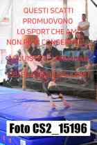 CS2_15196-