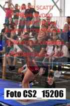 CS2_15206-