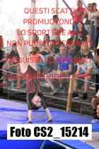 CS2_15214-
