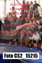 CS2_15215-