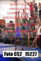 CS2_15227-