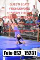 CS2_15231-