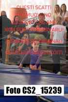 CS2_15239-