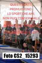 CS2_15293-