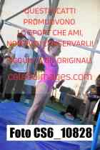 CS6_10828