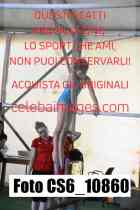 CS6_10860