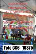 CS6_10875