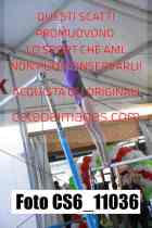CS6_11036