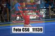 CS6_11139