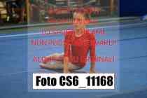 CS6_11168