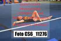 CS6_11276