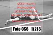 CS6_11278