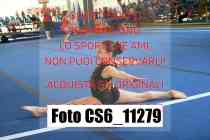 CS6_11279
