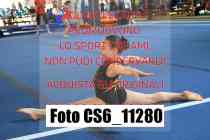 CS6_11280