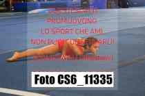 CS6_11335