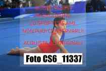 CS6_11337