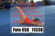 CS6_11338