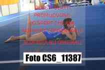 CS6_11387