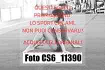 CS6_11390