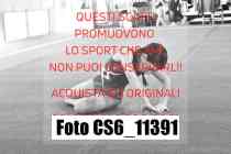 CS6_11391
