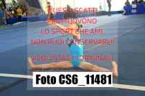 CS6_11481
