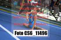 CS6_11496
