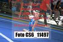 CS6_11497
