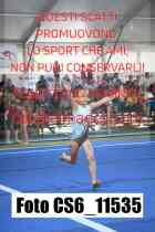 CS6_11535