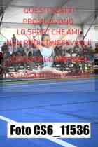 CS6_11536