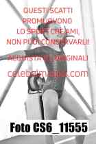 CS6_11555