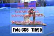 CS6_11595