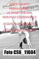 CS6_11604