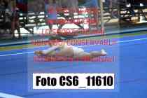CS6_11610