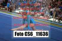 CS6_11636