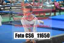 CS6_11650