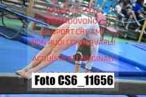 CS6_11656