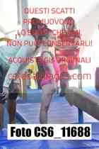 CS6_11688