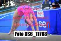 CS6_11768