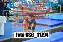 CS6_11794