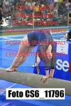 CS6_11796
