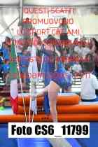 CS6_11799