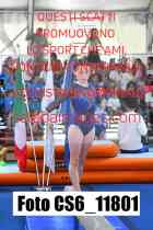 CS6_11801