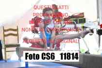 CS6_11814