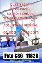 CS6_11828