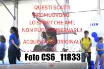 CS6_11833