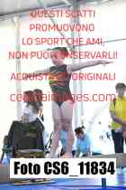 CS6_11834
