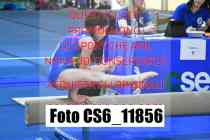 CS6_11856