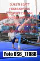 CS6_11988